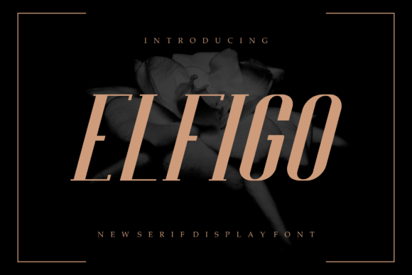 Elfigo: A Modern Display Font That Elevates Your Visual Identity